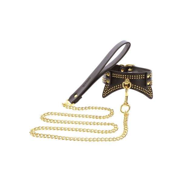 Leash with Studded Collar Leash with Studded Collar