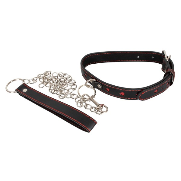 Bad Kitty Collar and Leash Bad Kitty Collar and Leash