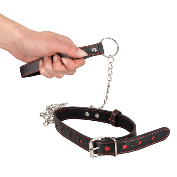 Bad Kitty Collar and Leash Bad Kitty Collar and Leash