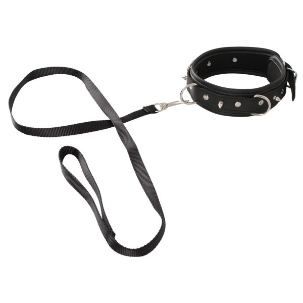 Vegan Fetish Collar and Leash Vegan Fetish Collar and Leash