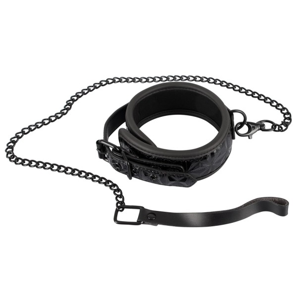 Bad Kitty Collar with Leash Bad Kitty Collar with Leash