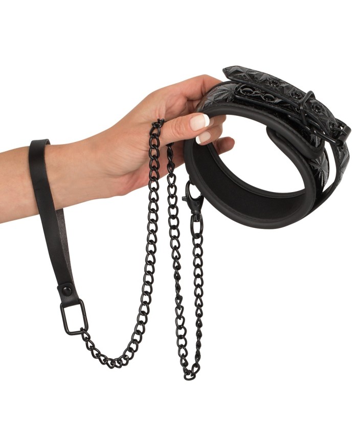 Bad Kitty Collar with Leash Bad Kitty Collar with Leash
