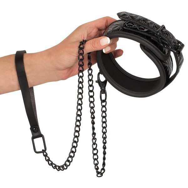 Bad Kitty Collar with Leash Bad Kitty Collar with Leash