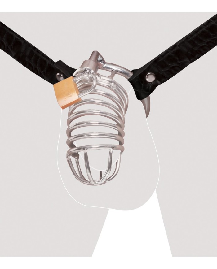 Fetish Fantasy Extreme Chastity Belt Fetish Fantasy Extreme Chastity Belt